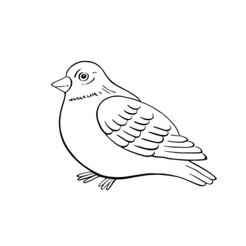 Bullfinch. Romantic outline ink graphic. Isolated contour bird for Christmas, New Year, season postcard, invitation, kids coloring, winter decoration. vector