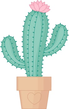 Green Cactus With Pink Flower. Decorative House Plant vector