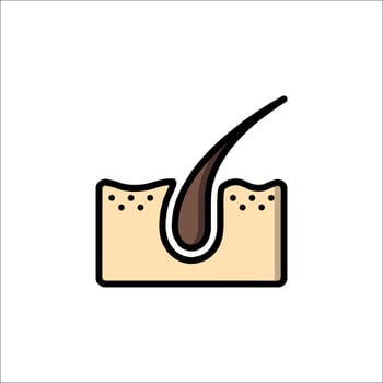 Hair care icon illustration vector