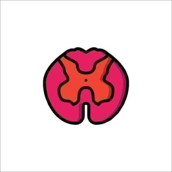 A red and pink brain with a hole in it vector