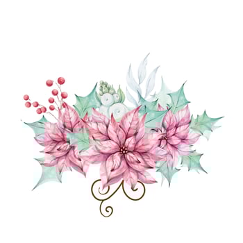 Christmas watercolor Red poinsettia flowers bouquet with holly green leaves and mistletoe, red berries. December nature. Illustration hand drawn for design, printing, greeting cards. clip art vector