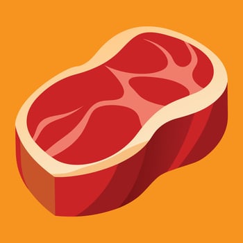 Hand drawn meat drawing illustration vector