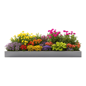 Colorful Spring Flower Pot with Orange, Pink, and Red Blooms in White Planter Ideal for Outdoor and Indoor Decor on Transparent Background png