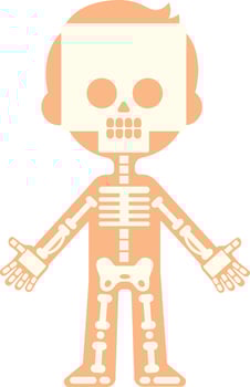 Simple stylized illustration of a child skeleton showing bones for anatomy lesson, with arms open and skull visible through skin vector