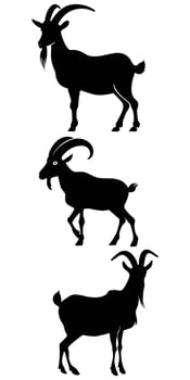 Goat Silhouette Illustration for Farm and Animal Designs vector