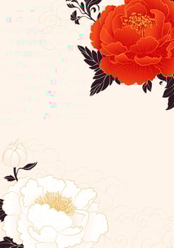 Chinese style poster with white and red peony flowers in full bloom vector