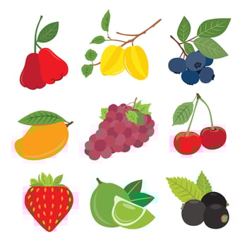 Flavors of the Tropics with Exotic Fruits vector
