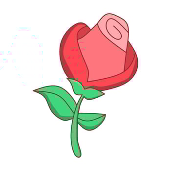 Elegant red rose illustration symbolizing love and passion, perfect for Valentines Day cards, wedding invitations, and romantic designs vector