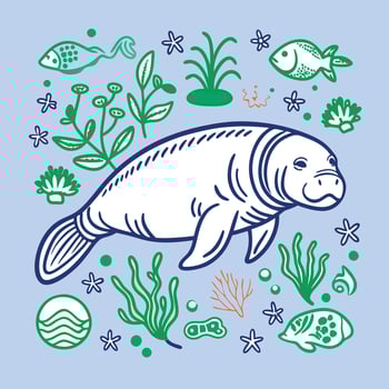 Manatee illustration by jason klein vector