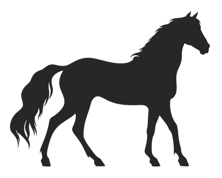 Horse silhouette isolated on transparent background png