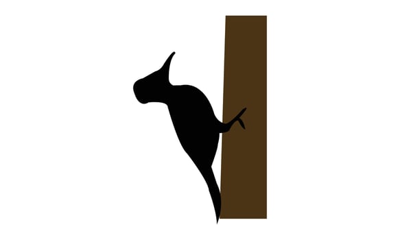 Woodpecker Silhouette Design vector