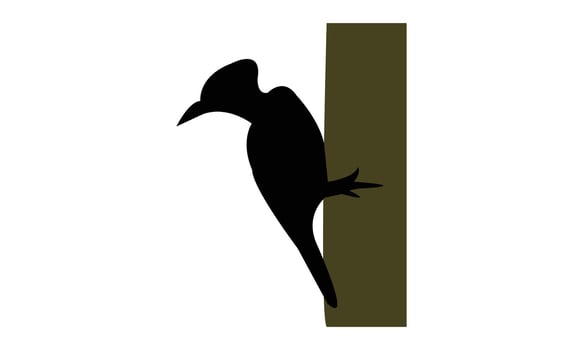 Woodpecker Black Silhouette Illustration vector