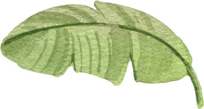 Handdrawn dinosuar cartoon watercolor png