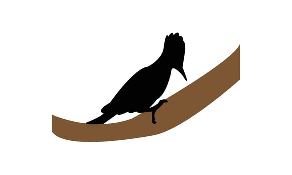 Cute Woodpecker Silhouette vector