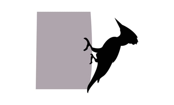 Beautiful Woodpecker Silhouette Illustration vector