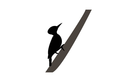 Beautiful Woodpecker Silhouette vector