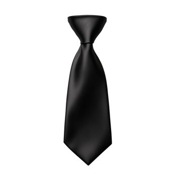 Straight black silk tie on display png