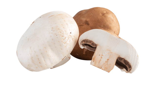 fresh mushrooms cut out isolated transparent background png