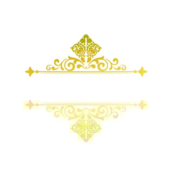 vintage gold frame text borders vector