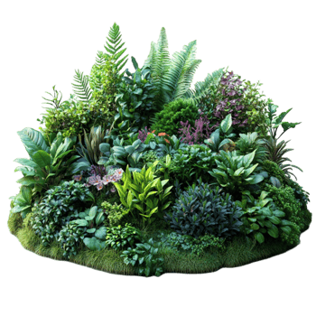 Garden with Plants and Grass on Transparent Background png