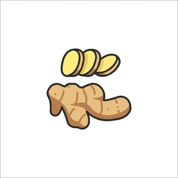 Ginger root icon illustration vector