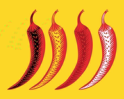 Fresh red hot chili pepper collection vector