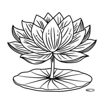 A black and white drawing of a lotus flower vector