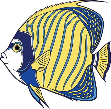 Emperor Angelfish Fish vector