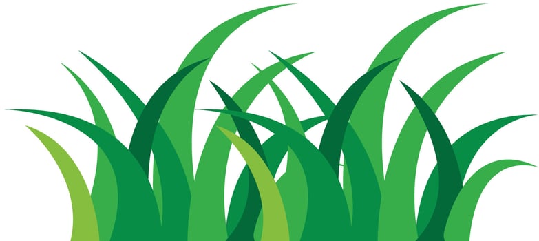 Green Grass Growing Element. Green Grass Isolated on White Background vector