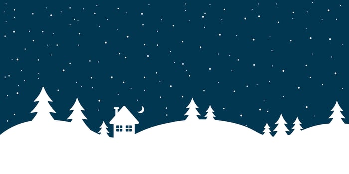 Dark winter landscape flat illustration, holiday background, Christmas or New Year greeting template design vector