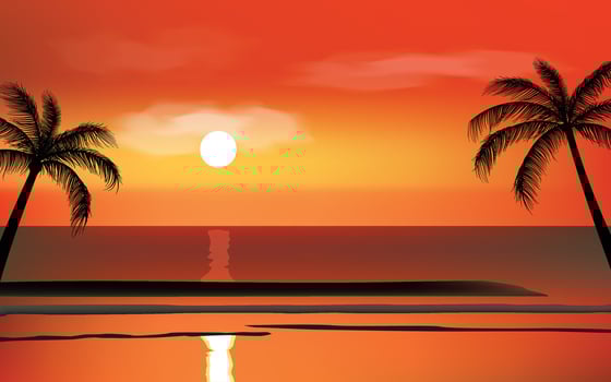 Silhouette sunset beach scene with palm trees background vector