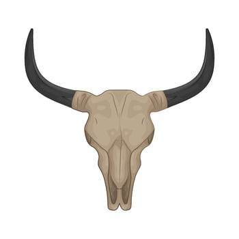 Illustration of bull skull vector