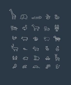 Animals collection giraffe, elephant, crocodile, sloth, tiger, cheetah, bird, horse, lion, lobster, parrot, bull, fish, sheep, zebra, deer, squirrel, goat drawing on blue background vector
