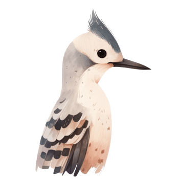 Watercolor forest animal isolated on transparent background, baby illustrations, cute bird png