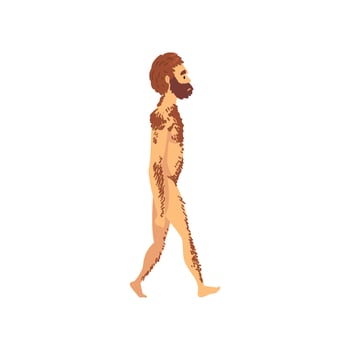 Male Neanderthal, Biology Human Evolution Stage, Evolutionary Process of Woman Illustration vector