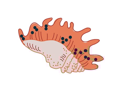 Tropical Shell, Marine Underwater Nature Aquatic Seashell Illustration vector