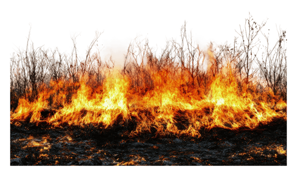 Wildfire consuming dry grassland in summer png