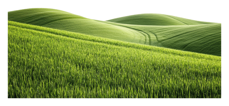 Bright spring hills of lush green png