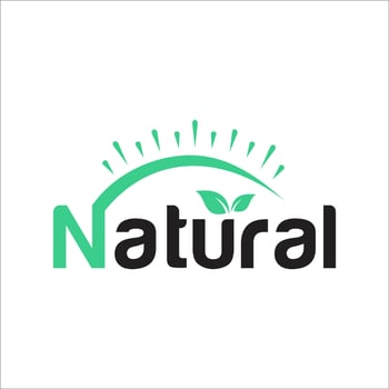 nature leafs letter N sun text logo vector