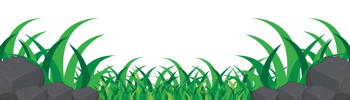 Green grass border isolated on white background. Grass landscape. Rocks and grass background vector