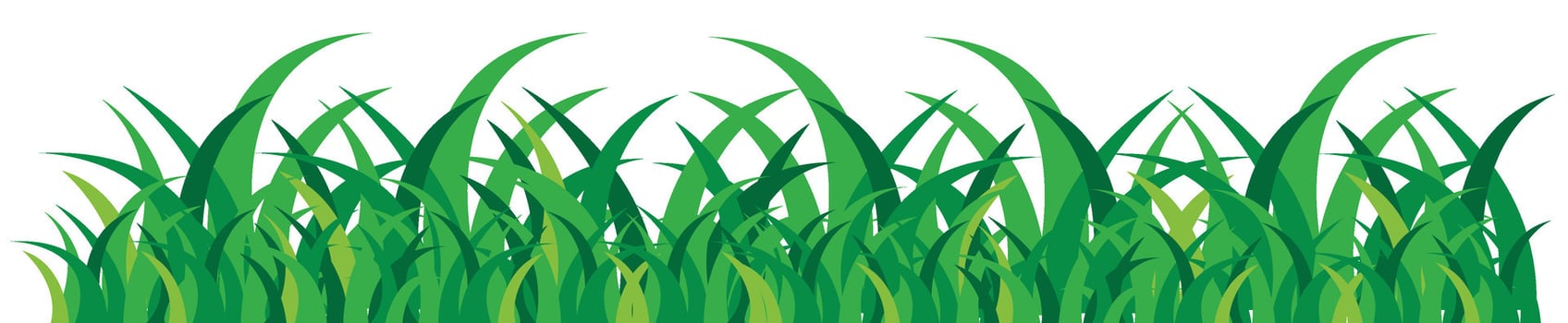 Green grass designs isolated on white background. flat illustration. Green grass illustration vector
