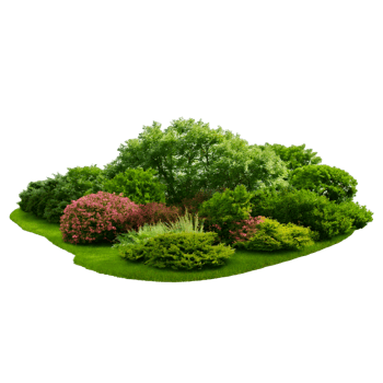 green park landscapes with bushes and trees png