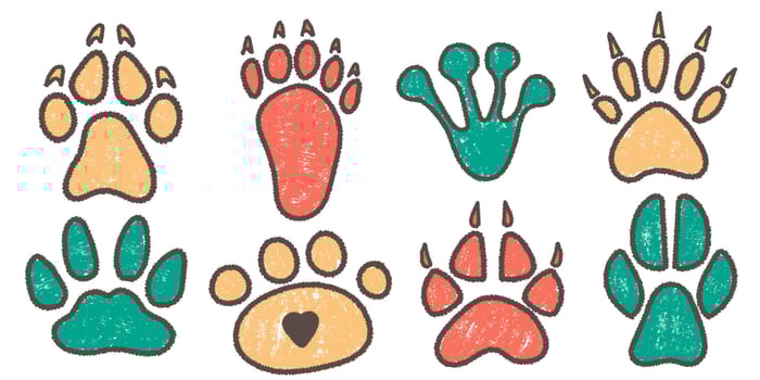 Set of hand drawn footprints in brush stroke texture paint style. Traces of animals. Wild animal feet silhouette. chalk graphic elements vector
