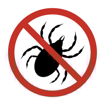 Stop ticks sign. Prevent a tick bite crossed out tick warning sign. Encephalitis, parasite, forbidden circle vector