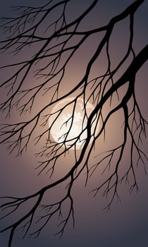 Tree branches silhouette and full moon vector