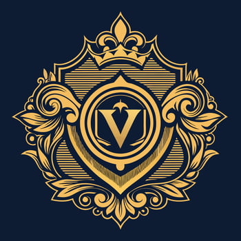 the v logo on a dark blue background vector