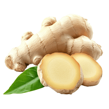 Fresh ginger root with sliced pieces and green leaf on a transparent background for culinary and medicinal uses, ginger root slice and leaf on transparent background png