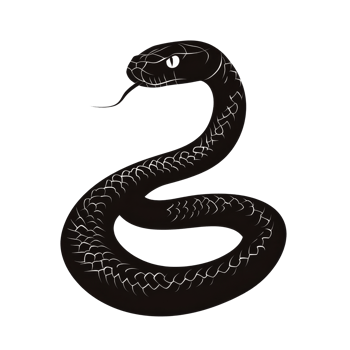 Isolated black snake silhouette coiling on a transparent background with clear features and intricate scale patterns, Snake silhouette. Isolated snake isolated on transparent background png
