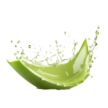 Aloe vera juice splashing from a green leaf against a transparent background, Aloe vera juice splashing isolated png