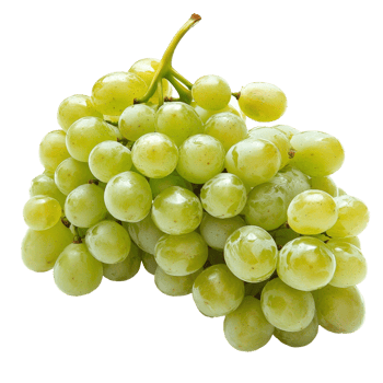 Fresh green grapes clustered together against a clean transparent background showcasing their natural shine and texture, Green grapes isolated on transparent background png